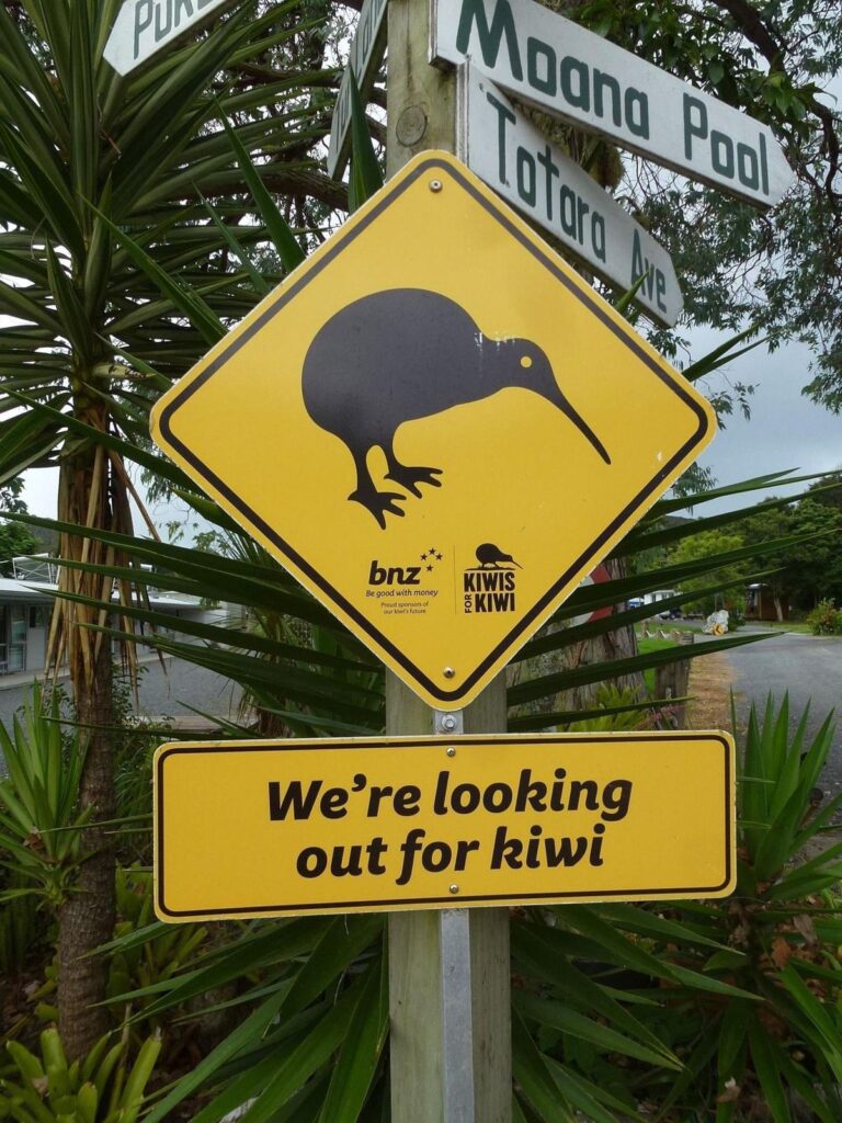 Kiwi crossing road sign